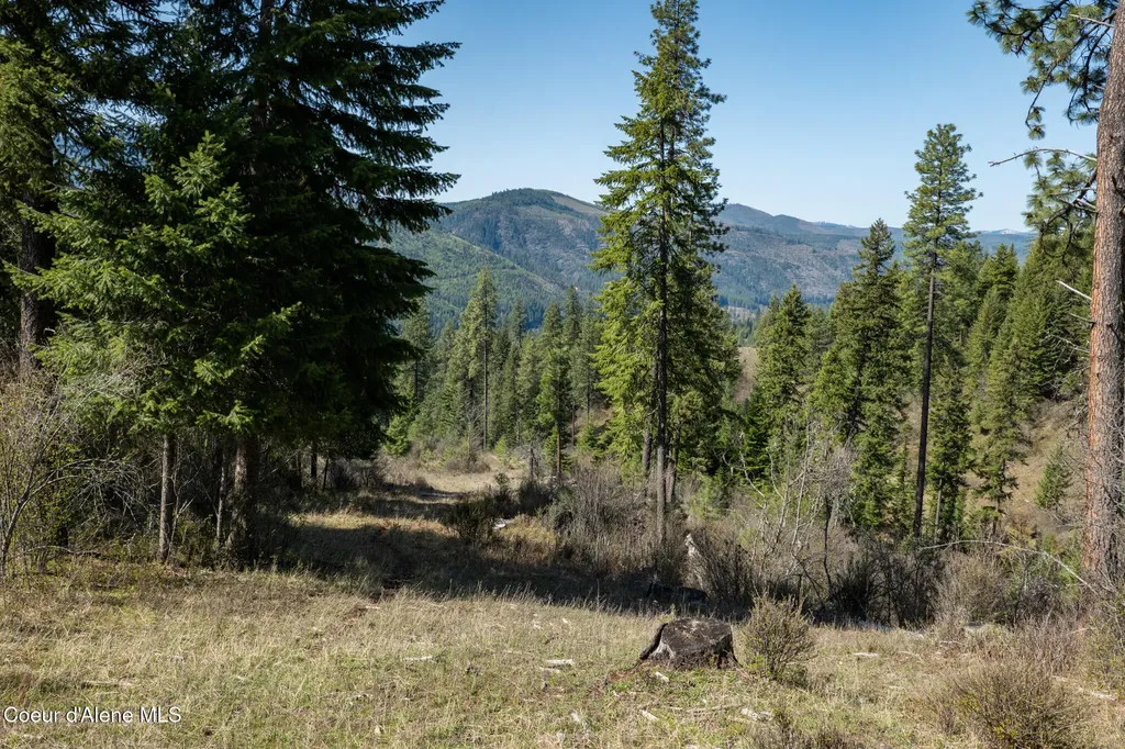 Nka 262 Ac North Side Road Calder ID 83808