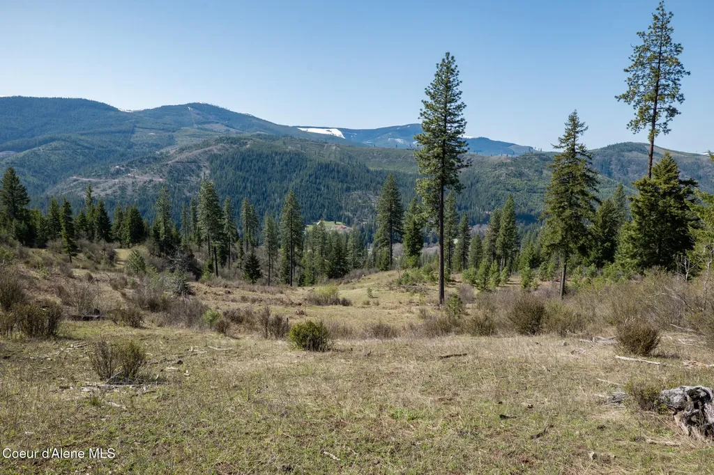 Nka 262 Ac North Side Road Calder ID 83808
