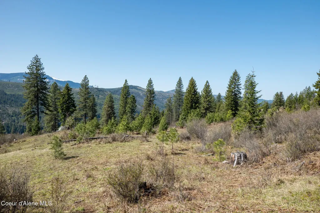 Nka 262 Ac North Side Road Calder ID 83808