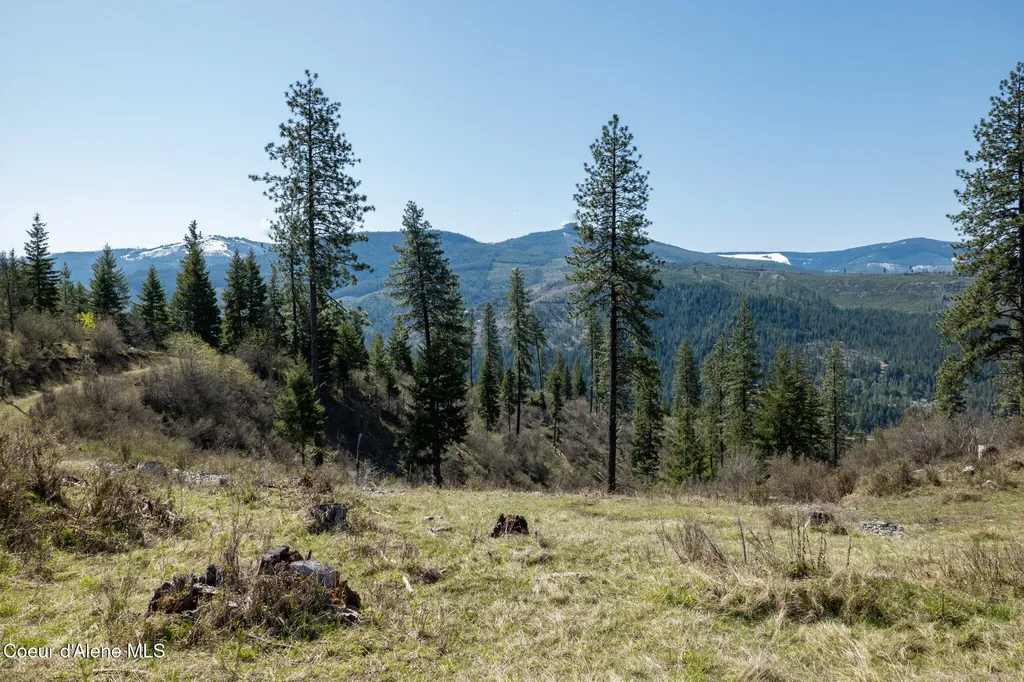 Nka 262 Ac North Side Road Calder ID 83808