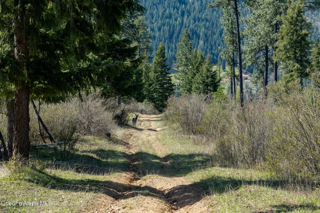 Nka 262 Ac North Side Road Calder ID 83808