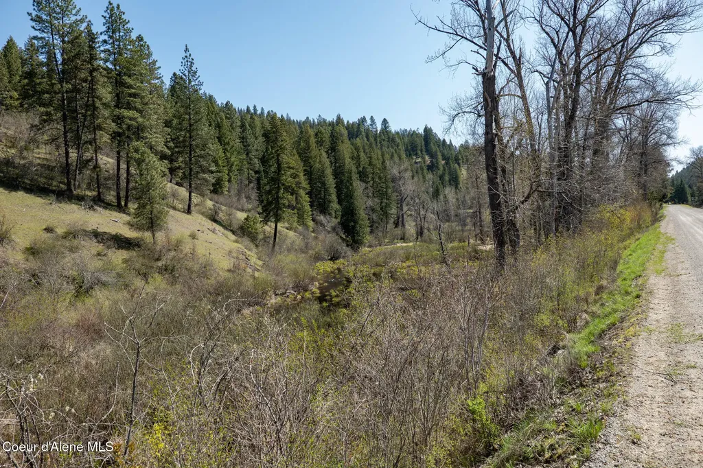 Nka 262 Ac North Side Road Calder ID 83808