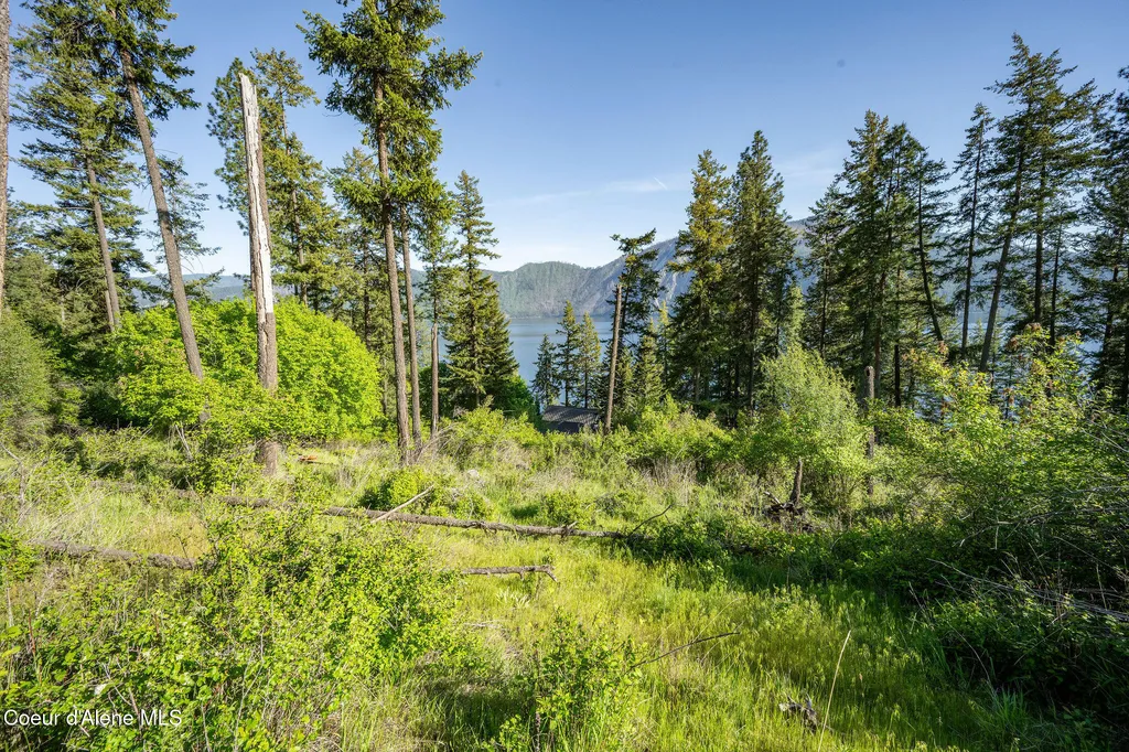 19088 E Scenic Bay Drive Bayview ID 83803