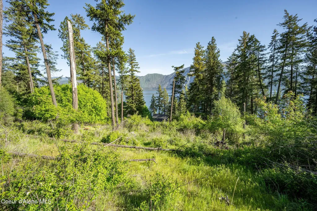 19088 E Scenic Bay Drive Bayview ID 83803