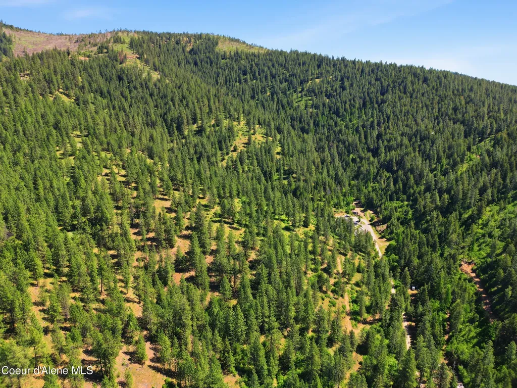 416 Miner Drive Blanchard ID 83804