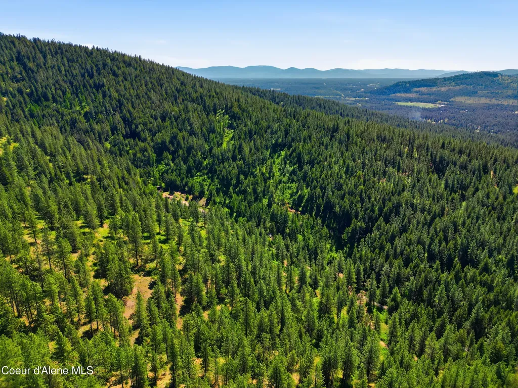 416 Miner Drive Blanchard ID 83804