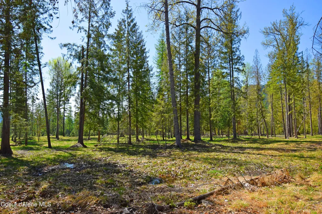 8694 Meadow Creek Road Bonners Ferry ID 83805