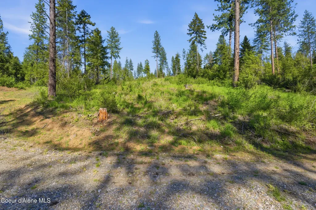 Nna Stone Road Lot 5 (20.0 Acres) Blanchard ID 83804