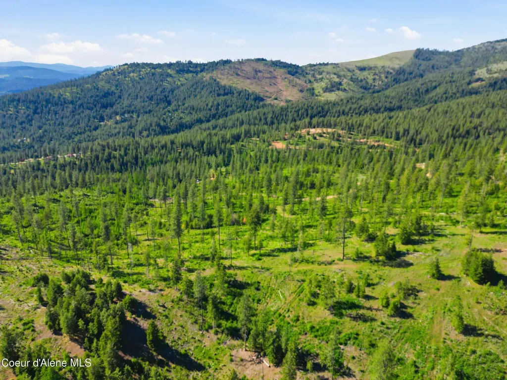 Nna Stone Road Lot 5 (20.0 Acres) Blanchard ID 83804