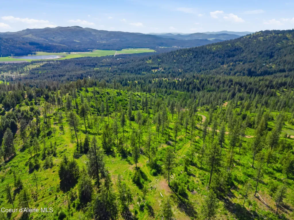 Nna Stone Road Lot 5 (20.0 Acres) Blanchard ID 83804