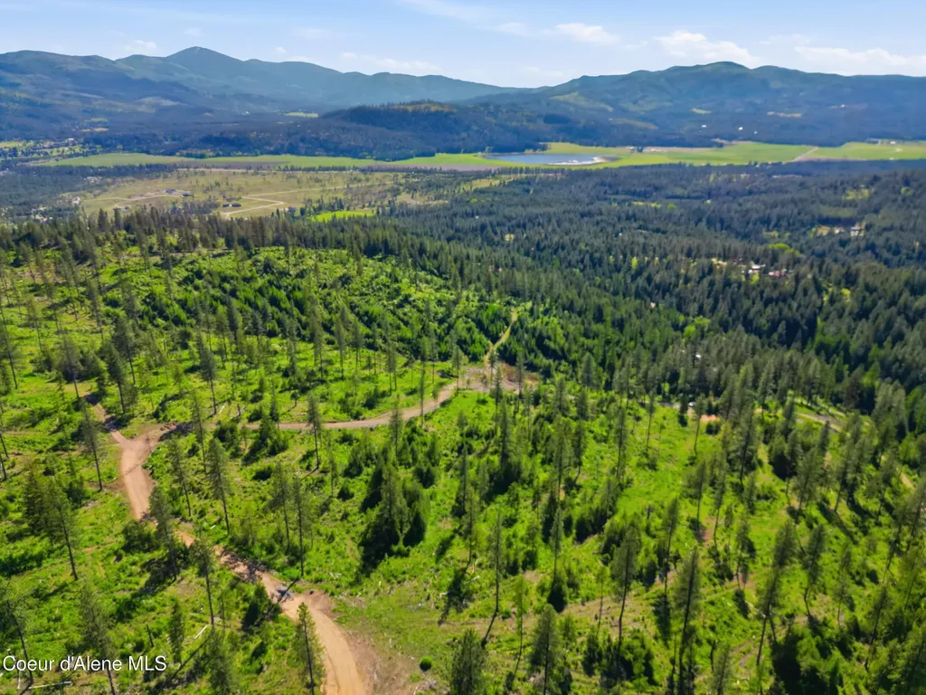 Nna Stone Road Lot 5 (20.0 Acres) Blanchard ID 83804