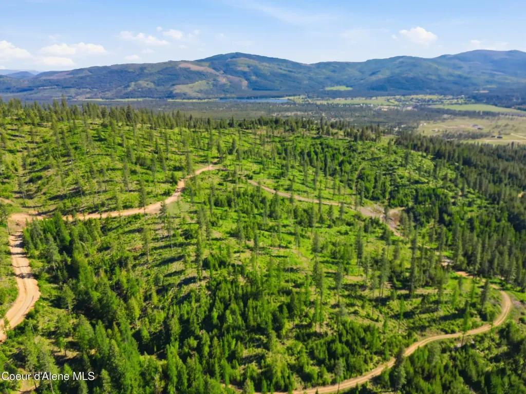 Nna Stone Road Lot 5 (20.0 Acres) Blanchard ID 83804