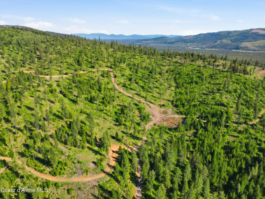 Nna Stone Road Lot 5 (20.0 Acres) Blanchard ID 83804