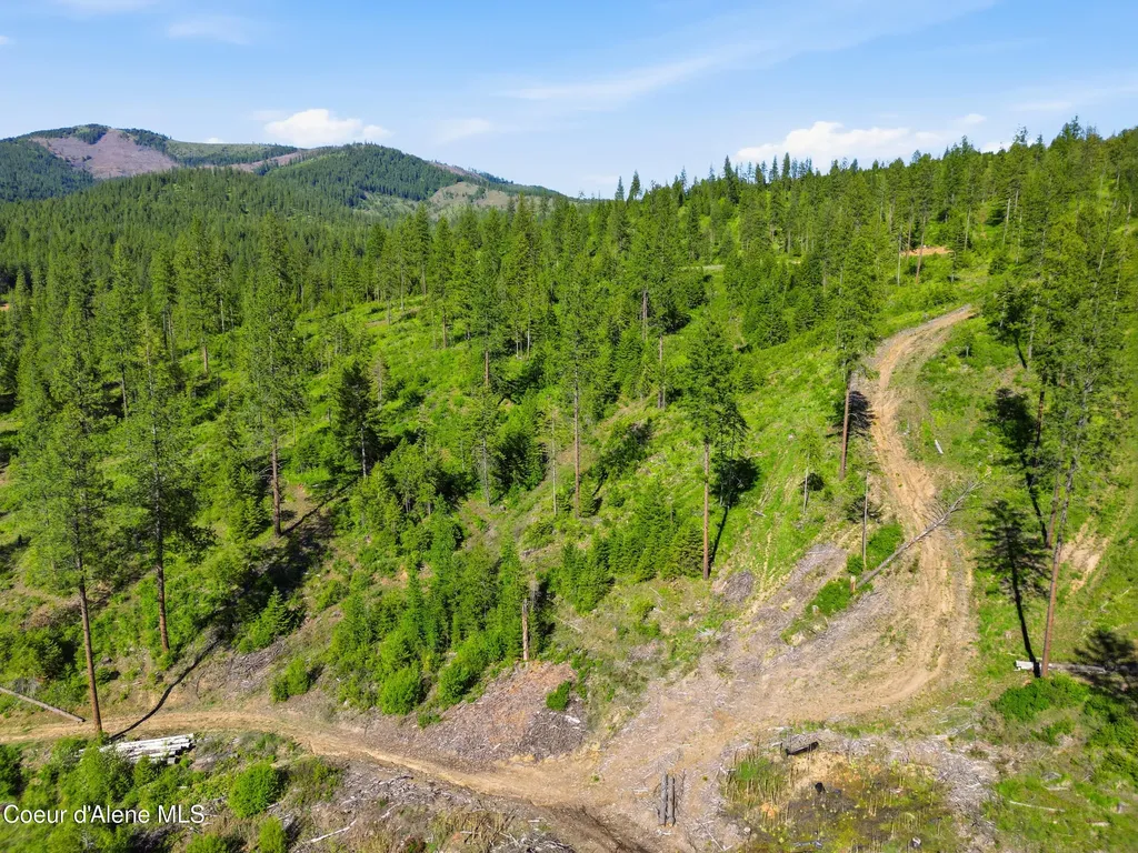 Nna Stone Road Lot 5 (20.0 Acres) Blanchard ID 83804