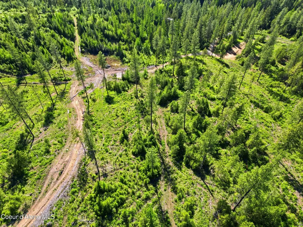 Nna Stone Road Lot 5 (20.0 Acres) Blanchard ID 83804