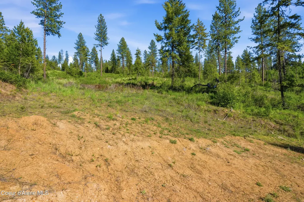 Nna Stone Road Lot 5 (20.0 Acres) Blanchard ID 83804