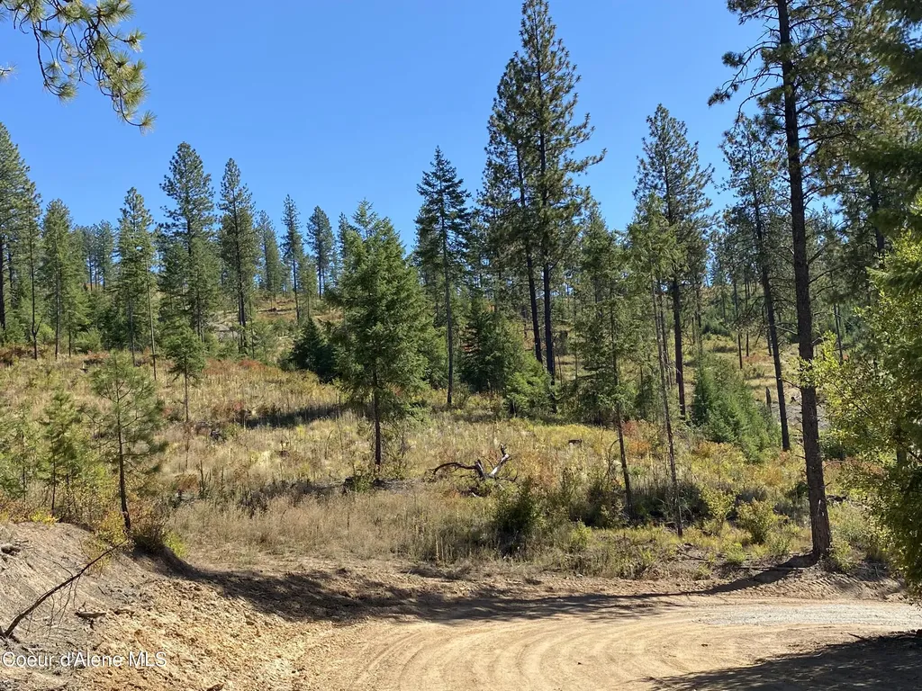 Nna Stone Road Lot 5 (20.0 Acres) Blanchard ID 83804