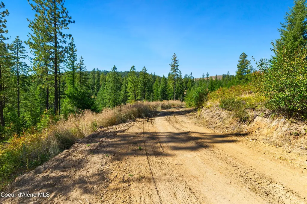 Nna Stone Road Lot 5 (20.0 Acres) Blanchard ID 83804