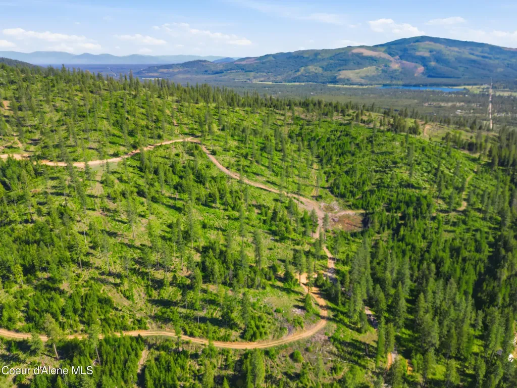 Nna Stone Road Lot 5 (20.0 Acres) Blanchard ID 83804