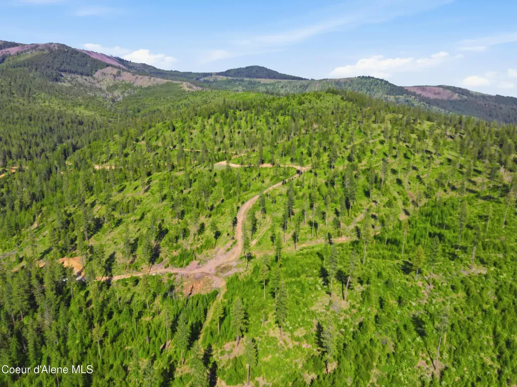Nna Stone Road Lot 5 (20.0 Acres) Blanchard ID 83804