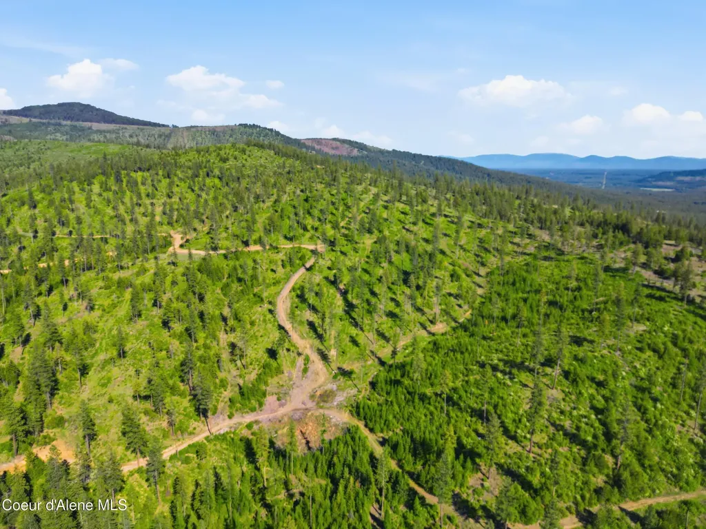 Nna Stone Road Lot 5 (20.0 Acres) Blanchard ID 83804