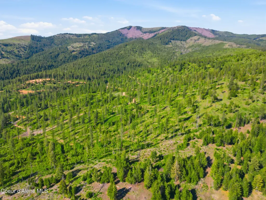 Nna Stone Road Lot 5 (20.0 Acres) Blanchard ID 83804