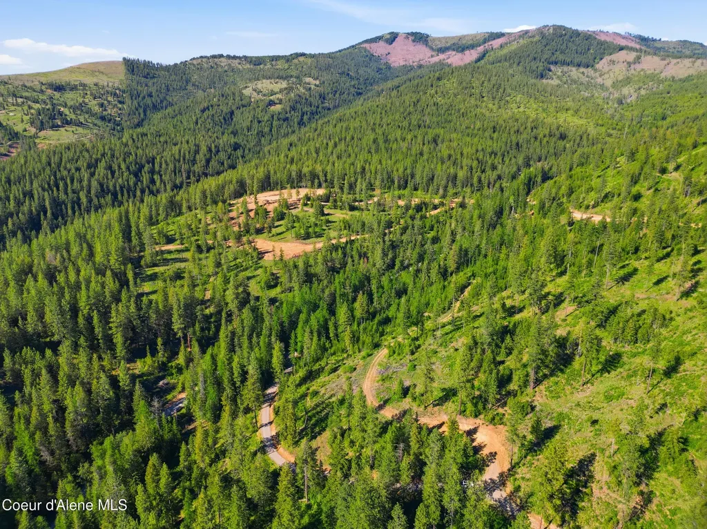 Nna Stone Road Lot 2 (20.0 Acres) Blanchard ID 83804