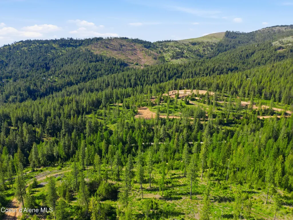 Nna Stone Road Lot 2 (20.0 Acres) Blanchard ID 83804
