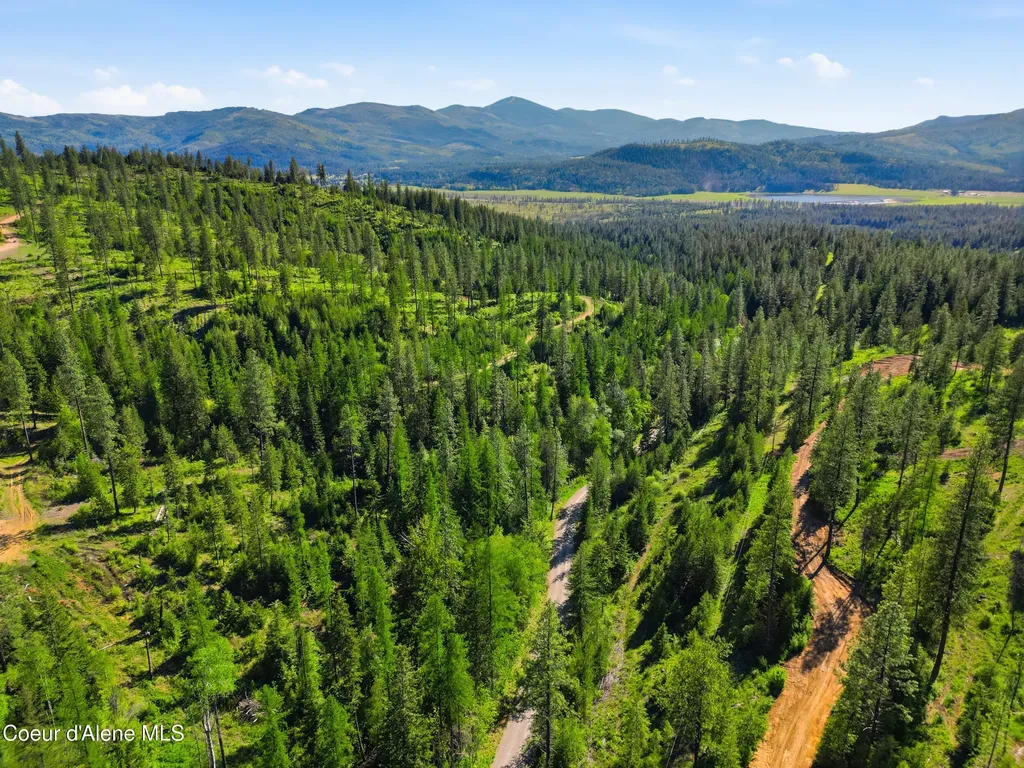 Nna Stone Road Lot 2 (20.0 Acres) Blanchard ID 83804