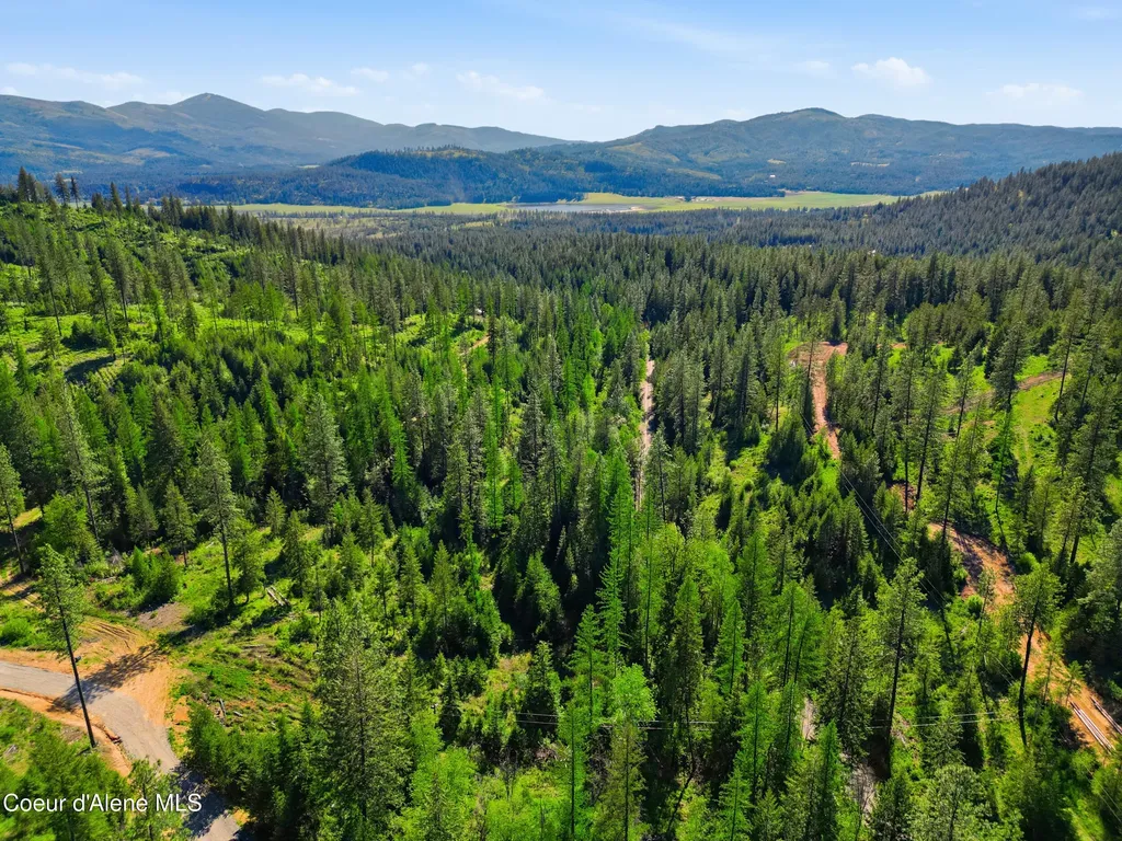 Nna Stone Road Lot 2 (20.0 Acres) Blanchard ID 83804