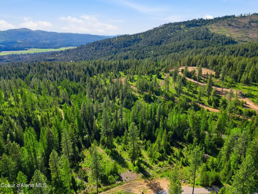 Nna Stone Road Lot 2 (20.0 Acres) Blanchard ID 83804