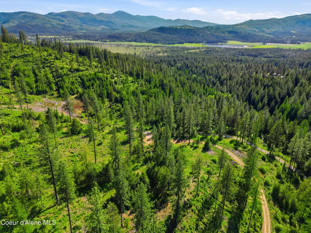 Nna Stone Road Lot 2 (20.0 Acres) Blanchard ID 83804