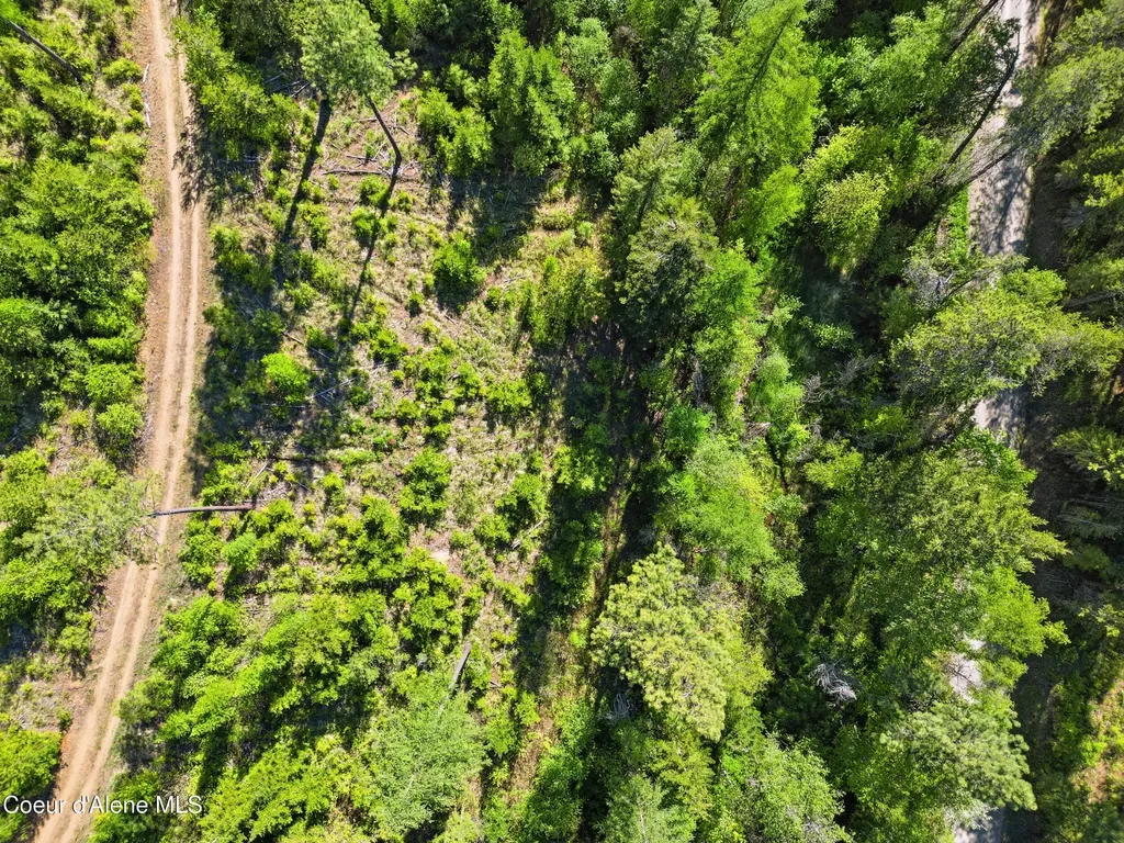Nna Stone Road Lot 2 (20.0 Acres) Blanchard ID 83804