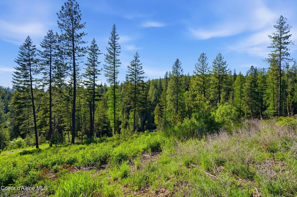 Nna Stone Road Lot 2 (20.0 Acres) Blanchard ID 83804