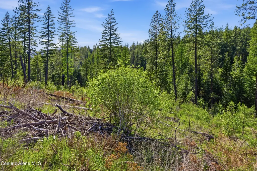 Nna Stone Road Lot 2 (20.0 Acres) Blanchard ID 83804
