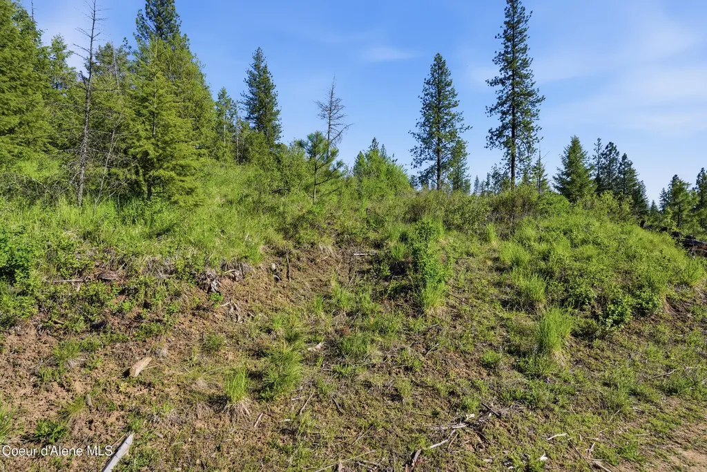 Nna Stone Road Lot 2 (20.0 Acres) Blanchard ID 83804