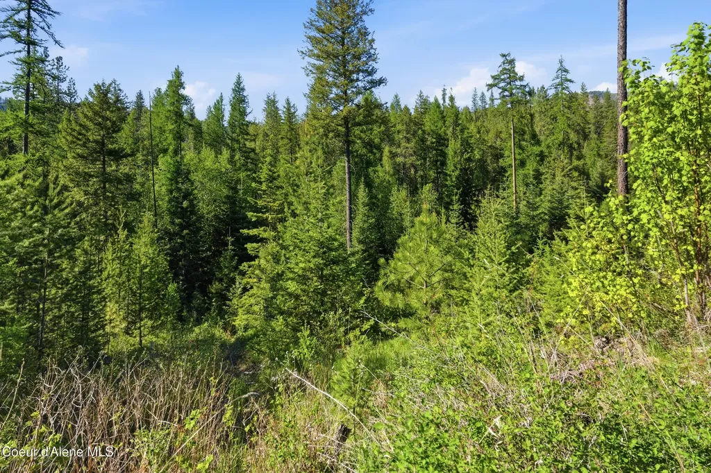 Nna Stone Road Lot 2 (20.0 Acres) Blanchard ID 83804