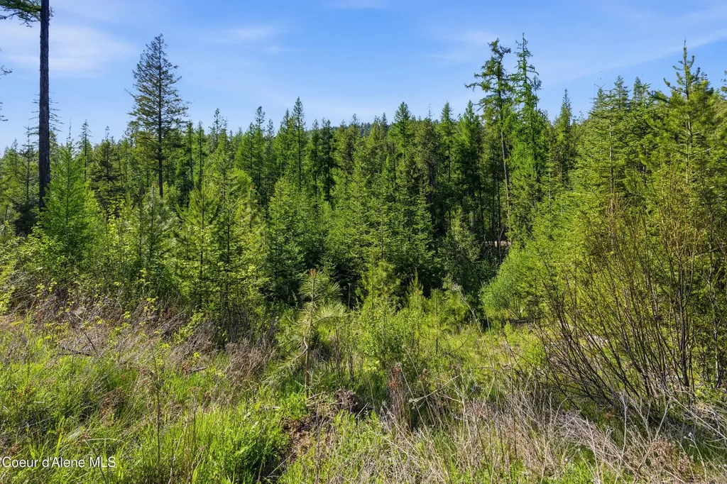 Nna Stone Road Lot 2 (20.0 Acres) Blanchard ID 83804