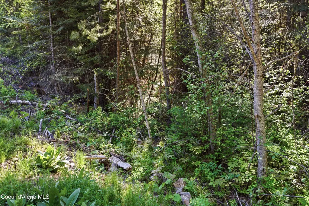 Nna Stone Road Lot 2 (20.0 Acres) Blanchard ID 83804