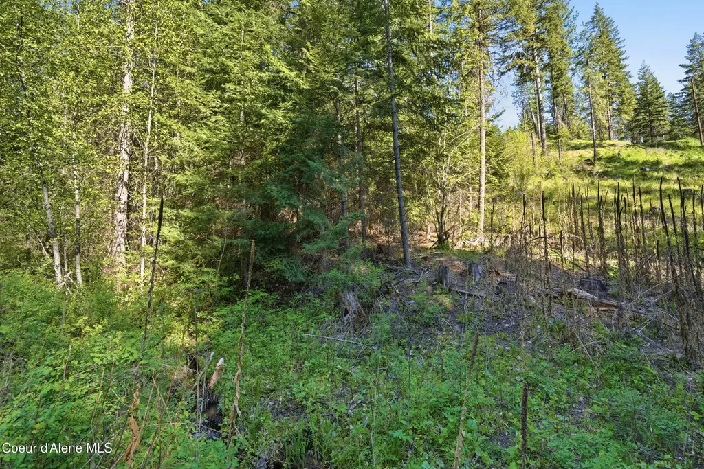 Nna Stone Road Lot 2 (20.0 Acres) Blanchard ID 83804