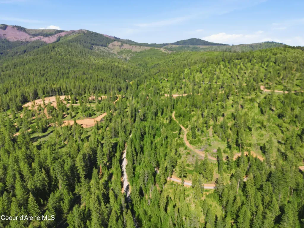 Nna Stone Road Lot 2 (20.0 Acres) Blanchard ID 83804