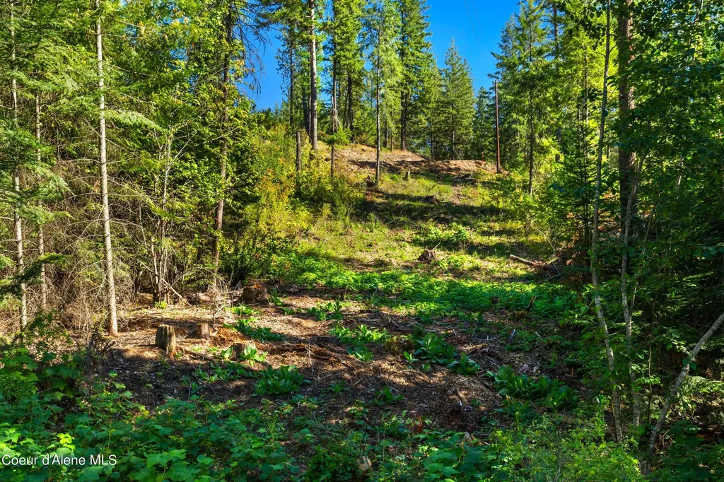 Nna Stone Road Lot 2 (20.0 Acres) Blanchard ID 83804