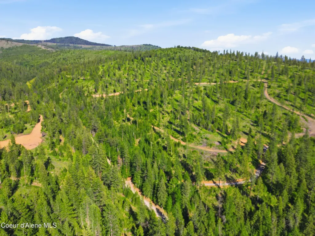 Nna Stone Road Lot 2 (20.0 Acres) Blanchard ID 83804