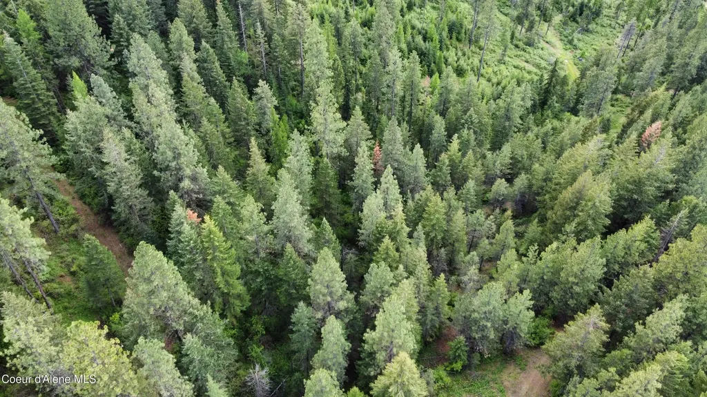 Nka Blake Creek Road St. Maries ID 83861