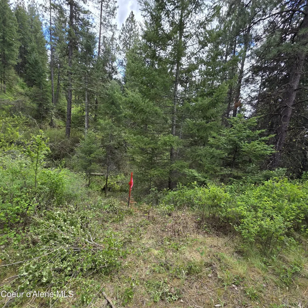 Nka Blake Creek Road St. Maries ID 83861