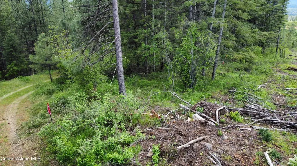 Nka Blake Creek Road St. Maries ID 83861