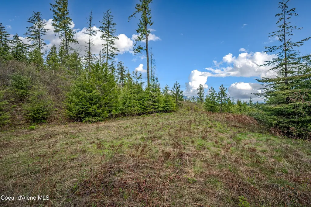 1025 Mountain Ridge Drive Sagle ID 83860
