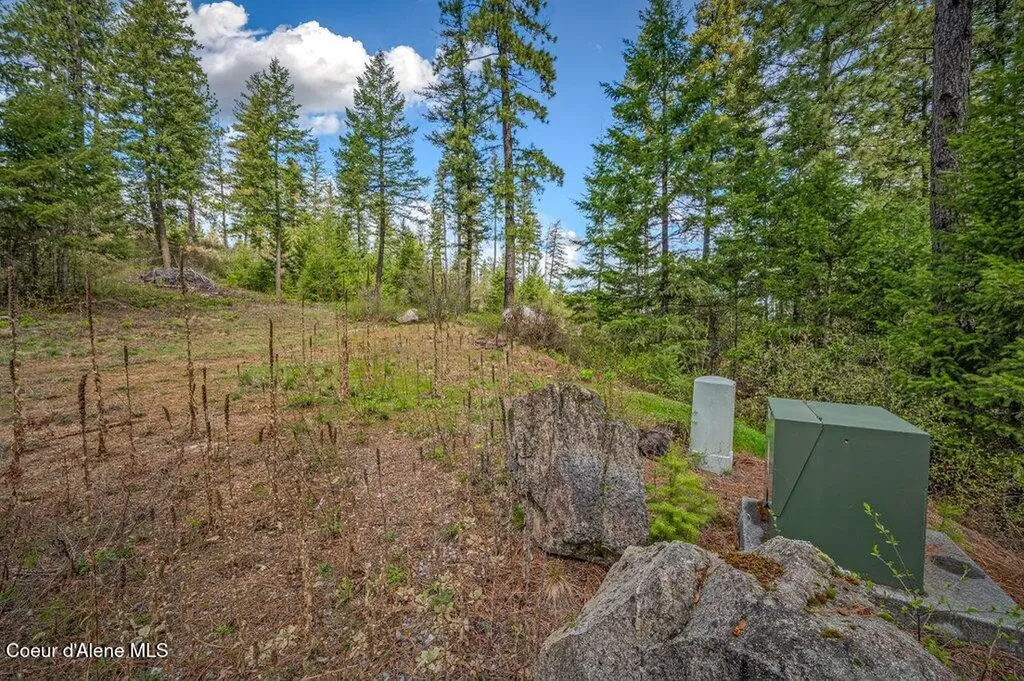 1025 Mountain Ridge Drive Sagle ID 83860