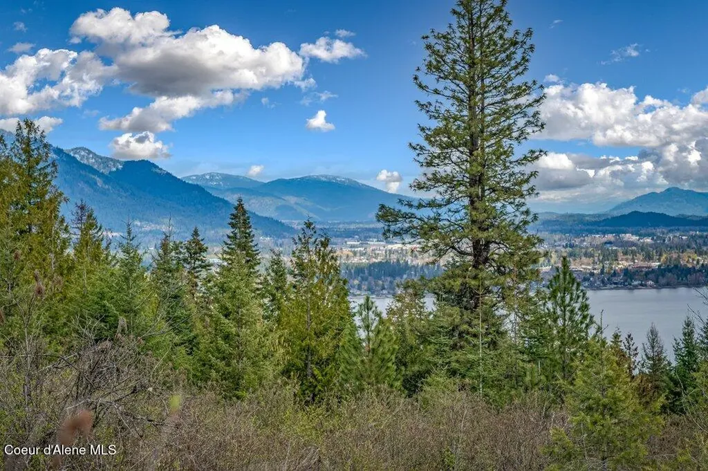 1025 Mountain Ridge Drive Sagle ID 83860