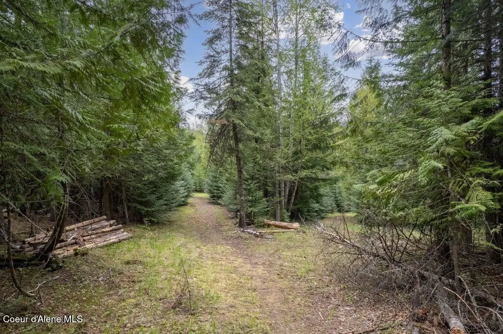 1427 Roop Road Cocolalla ID 83813